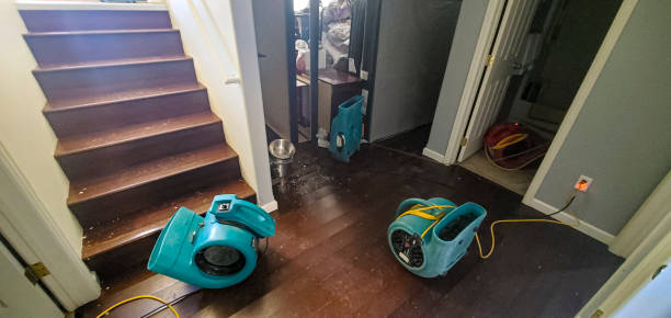Best Flood damage cleanup  in Woodway, TX