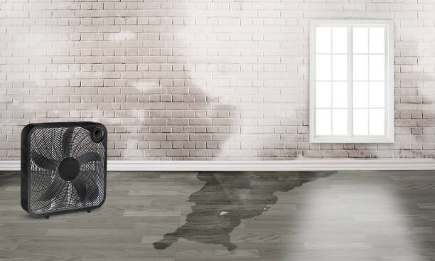 Best Residential water damage restoration  in Woodway, TX