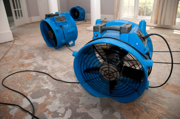 Carpet water damage restoration in Woodway, TX